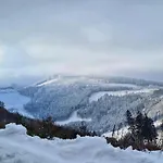 Traumblick بيستفيغ