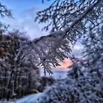 Traumblick منتزه العطل