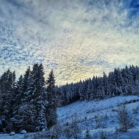 Tatil parkı Traumblick Bestwig