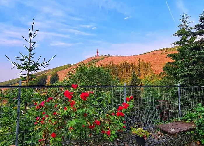 Ferienpark Traumblick Bestwig